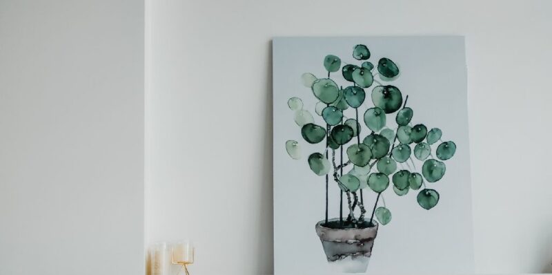 professional organiser decluttering Brisbane